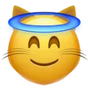 cat_innocent_cat