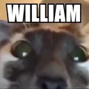 William