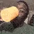 thejuice