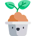 hSprout