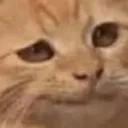 catSmug2 catSmug2