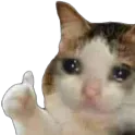 OHTcatsadthumbsup Discord Emoji