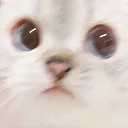 nyo