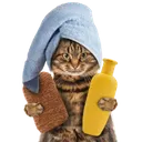 bathcat