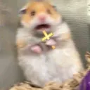 JESUSCRISTO Discord Emoji