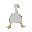 DankDance DankDance