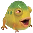 Frog Pog frogpog Discord Emoji