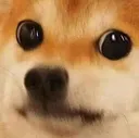 MonkaDoge Discord Emoji