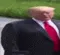 WideTrump
