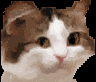 PartyCursed Discord emoji