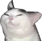 smug