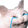 Fnme_catcry Discord emoji