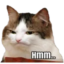 hmm2