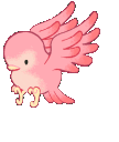 Birdy1_AE