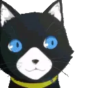 MorganaPet
