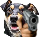 lankyGunman