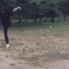HyunjinRun