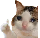 sug_catthumbsup Discord Emoji