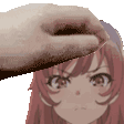 KamisatoPet Discord emoji