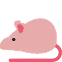 rat_naked