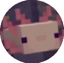 AxoSpin
