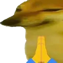 Dorime