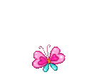 zbutterflyheart