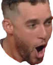 springerpog
