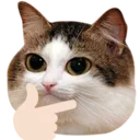 mowthinking