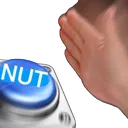 NutButton