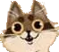 DerpCat