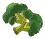 foodndrinkobroccoli