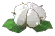 foodndrinkocotton