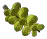 foodndrinkograpes