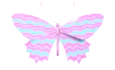 Butterfly13_AE