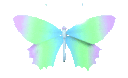Butterfly12_AE