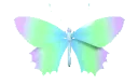 Butterfly12_AE