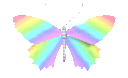 Butterfly11_AE
