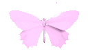 Buttrfly10_AE