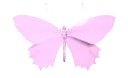 Buttrfly10_AE