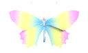 Butterfly9_AE