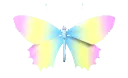 Butterfly9_AE