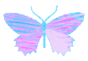 Butterfly8_AE