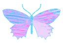 Butterfly8_AE