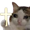crosskitty