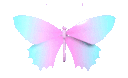 butterfly7_AE