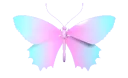 butterfly7_AE