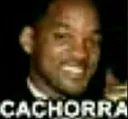 cachorra