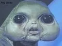 wackassalien