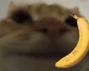 bananaphone